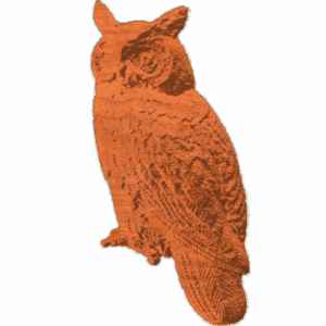 Owl-CL